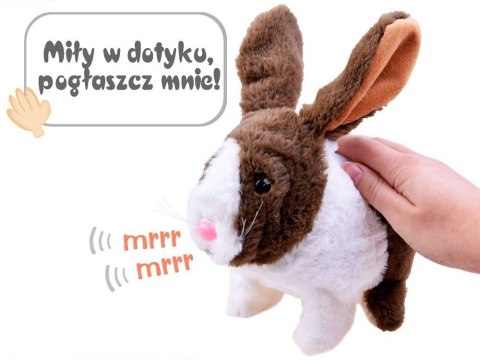 Interaktywny zwierzaczek chrupaczek Kicający Królik + marchewka ZA2685
