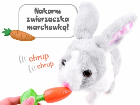 Interaktywny zwierzaczek chrupaczek Kicający Królik + marchewka ZA2685