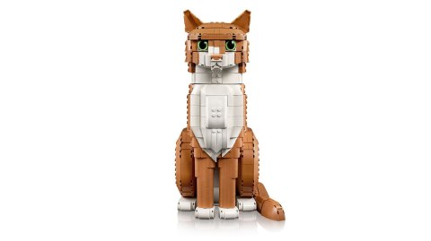LEGO 21376 Ideas Rudy kot